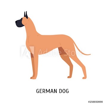 Great Dane or German Mastiff