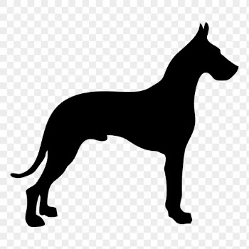 Great Dane png dog sticker | Free PNG - rawpixel