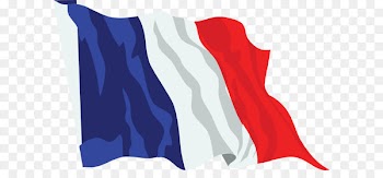 Great Fear France Storming of the Bastille French Revolution - France flag PNG 