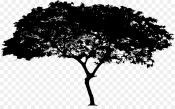 Great Green Wall DNA Science Company Blog -  