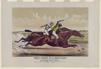 Great horses in a great | Free Photo - rawpixel