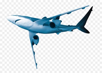 Great white shark Airplane - Dolphin aircraft 