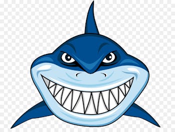 Great white shark Cartoon Clip art - Cartoon white shark 