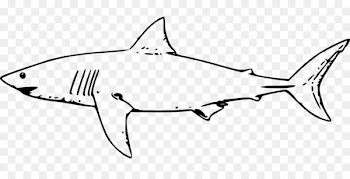 Great white shark Clip art - Ferocious shark 