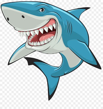 Great white shark Clip art - shark 