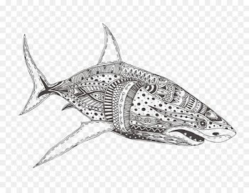 Great white shark Coloring book Adult Drawing - Black and white shark 