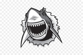 Great white shark Drawing Vector graphics Clip art - shark 