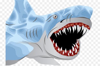Great white shark Hammerhead shark Clip art - Vicious shark 