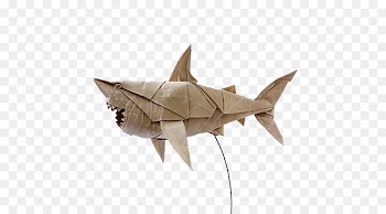 Great white shark Paper INCREDIBLE ORIGAMI - White white origami shark 