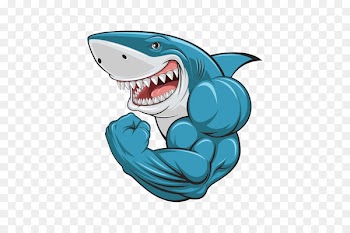 Great white shark Royalty-free - shark 