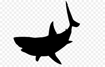 Great white shark Silhouette Clip art - BABY SHARK 