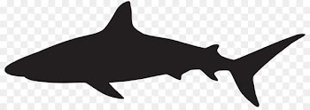 Great white shark Silhouette Clip art - sharks 