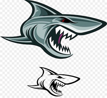 Great white shark Vector graphics Illustration Stock photography - ferocious 