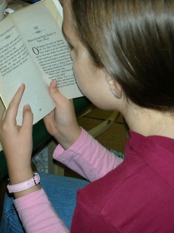 greatbook.JPG