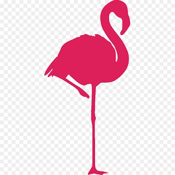 Greater flamingo Bird American flamingo Sticker - flamingos 