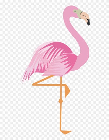 Greater Flamingo Drawing Cartoon - Imagem De Flamingo Para Imprimir