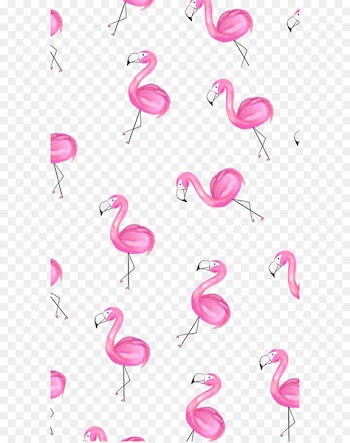 Greater flamingo Paper Wallpaper - Flamingos 