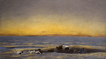 Grebe (1907) painting in high | Free Photo - rawpixel