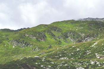 Gree Grass-covered Mountain