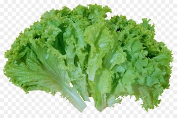 Greek salad Caesar salad Lettuce sandwich Tuna salad Israeli salad - salad 