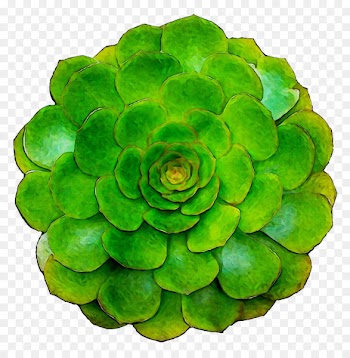 Green -  