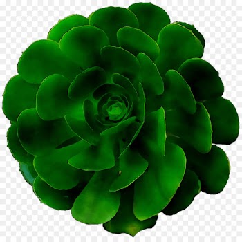 Green -  
