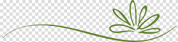 Green Abstract Lines PNG High-Quality Image