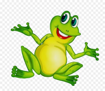 green agalychnis tree frog tree frog true frog
