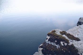 green algae on rock hill near body of water