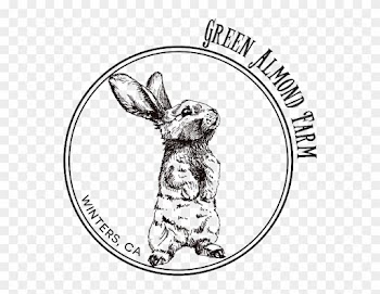 Green Almond Farm Is Owned And Operated By Uc Davis - Easter
