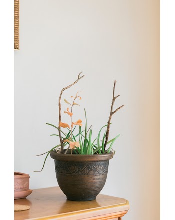 Green Aloe Vera Plant With Brown Ceramic Plant Pot