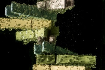 Green and Beige Clothes Clip on Water With Bubble Effect