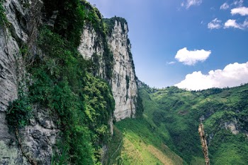 Green and Black Mountain