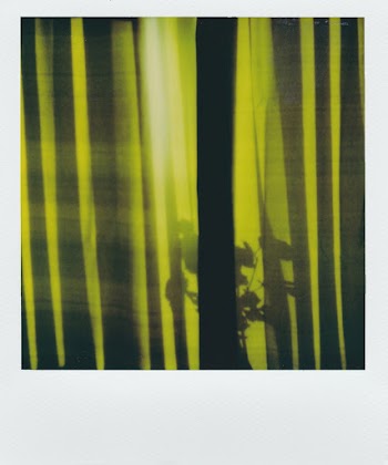 Green and Black Striped Curtains