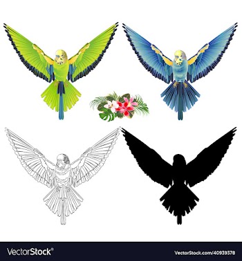 green and blue bird flying budgerigar pet