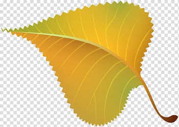 Green and brown leaf illustration, Pig roast Sewing Lounge Food Visit York Information Centre Drinking, Fall Yellow Leaf transparent background PNG clipart