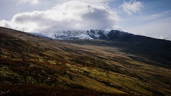 Green and Brown Mountain