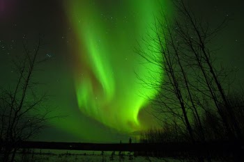 green and brown Northern light above body of water