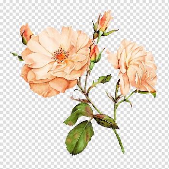 Green and brown rose flower illustration transparent background PNG clipart