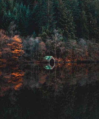 green and brown shed beside body of water photo