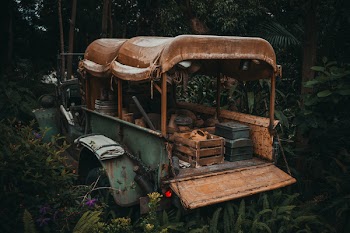 Green and Brown Vehicle in Forest