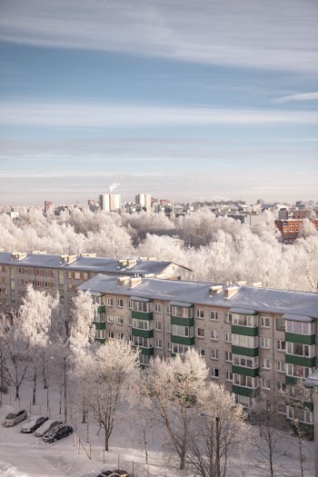 Green and Gray Building Covered With Snow