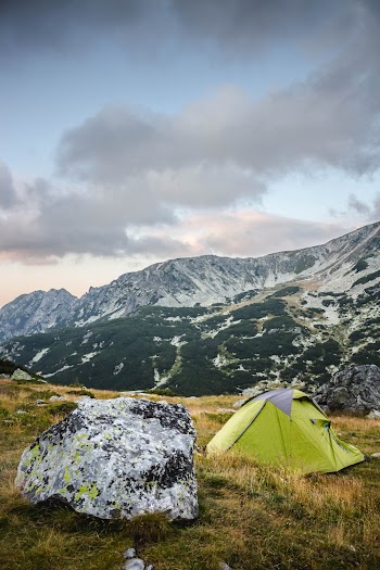 Green and Gray Tent