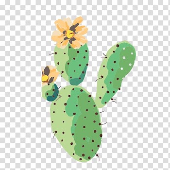 Green and orange cactus art, Cactaceae Thorns, spines, and prickles, cactus transparent background PNG clipart