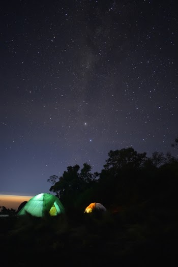 Green and Orange Dome Tents Surrounded by Trees
