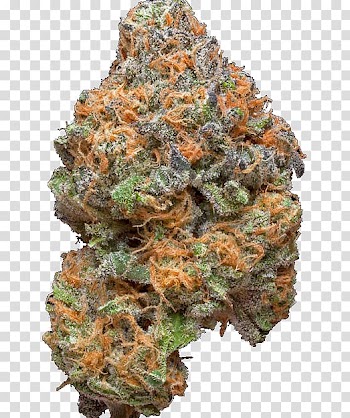 Green and orange stone, Cannabis smoking Kush Medical cannabis Cannabis shop, weed transparent background PNG clipart