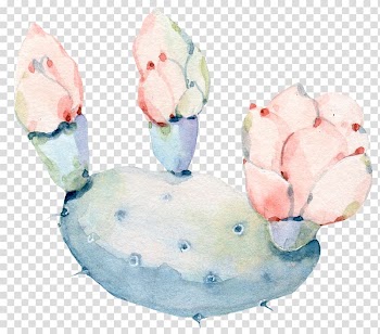 Green and pink cactus , Watercolor: Flowers Watercolor painting Cactaceae, Hand painted watercolor flowers, green plants cactus transparent background PNG clipart