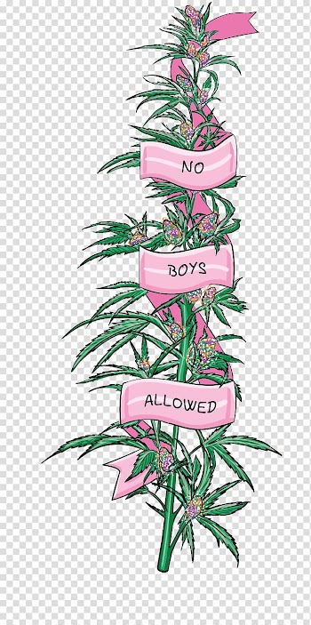 Green and pink leafed plant illustration, Cannabis sativa Hash oil Vaporizer 420 Day, weed transparent background PNG clipart