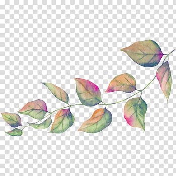 Green and pink leave illustration, Leaf Illustration, Green Leaves transparent background PNG clipart