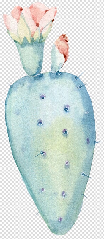 Green and pink plant white and red Lala Entera box, Watercolor painting, Watercolor flower cactus transparent background PNG clipart